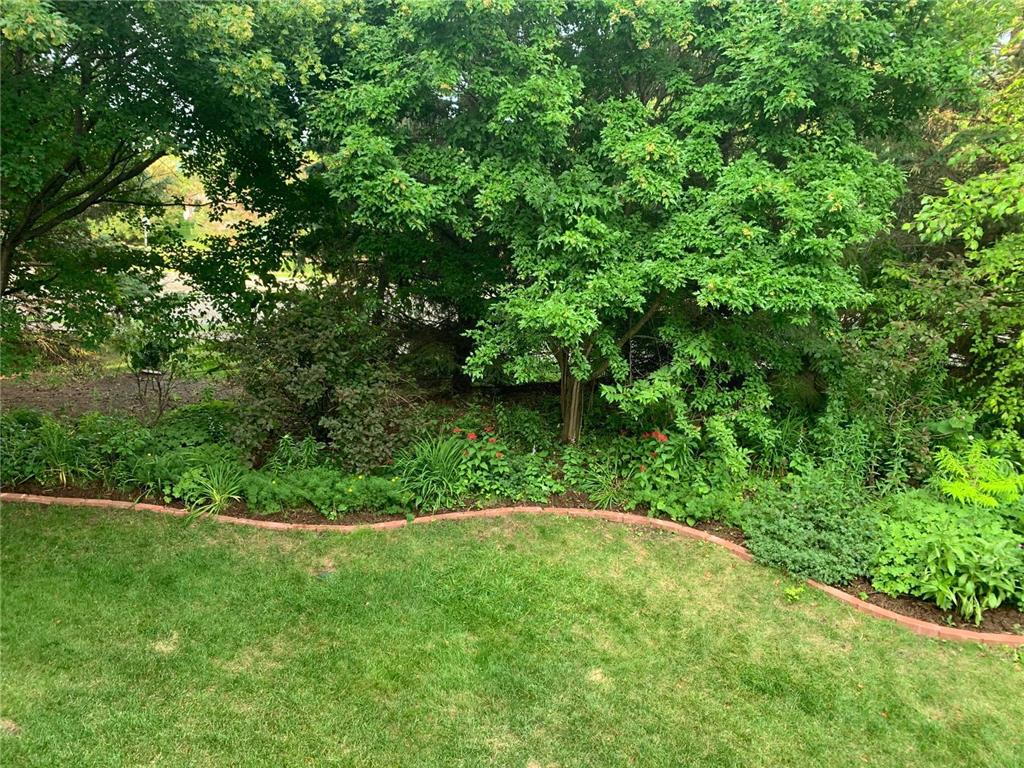 18005 45th Avenue N Plymouth MN 55446 7080699 image50