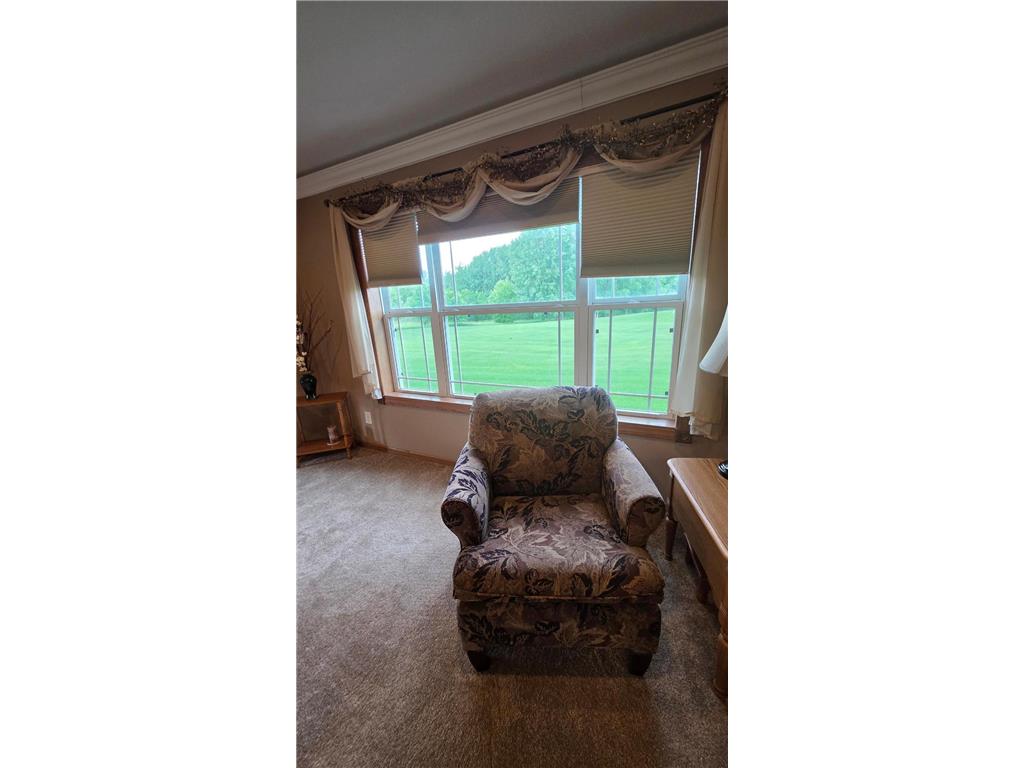 1801 Lower Trentwood Circle NE Willmar MN 56201 7088788 image6