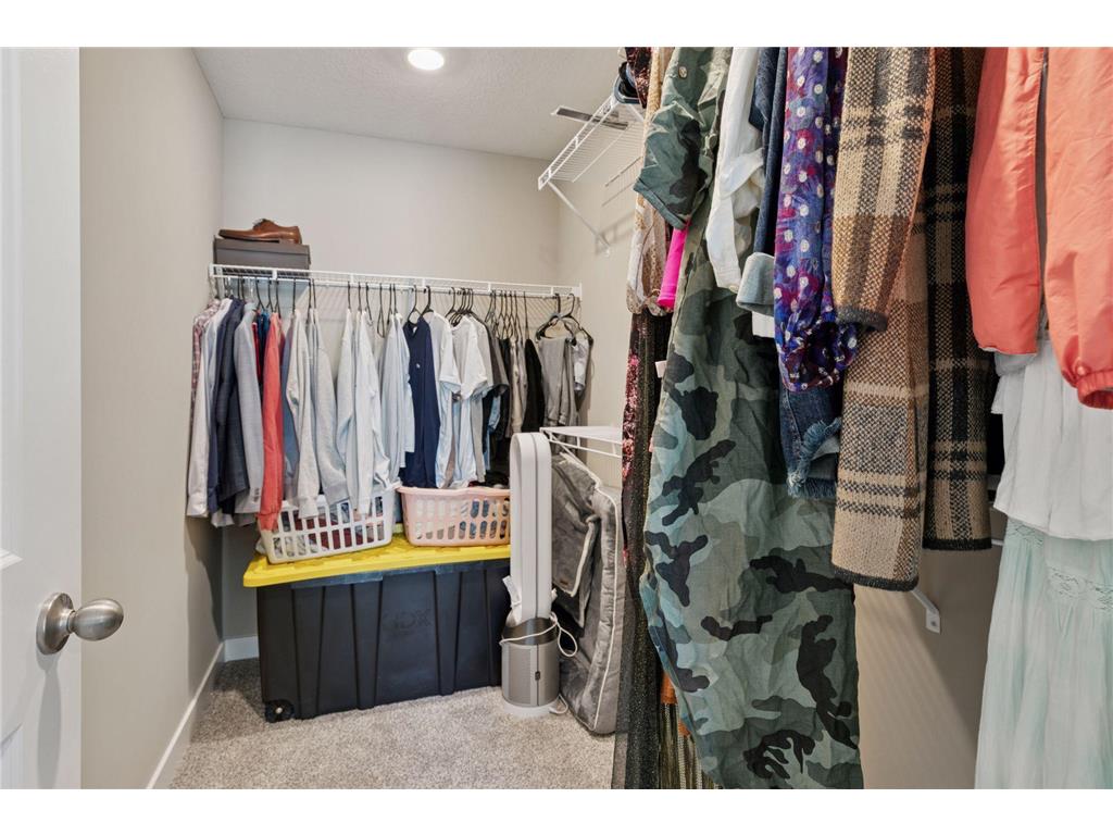 18017 Hidden Creek Trail Lakeville MN 55044 6803333 image22