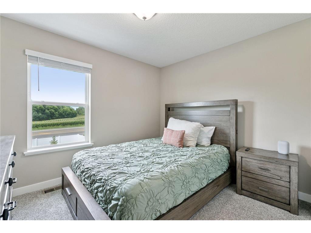 18017 Hidden Creek Trail Lakeville MN 55044 6803333 image23