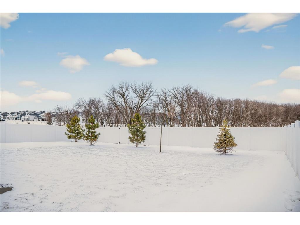 18017 Hidden Creek Trail Lakeville MN 55044 7009498 image31