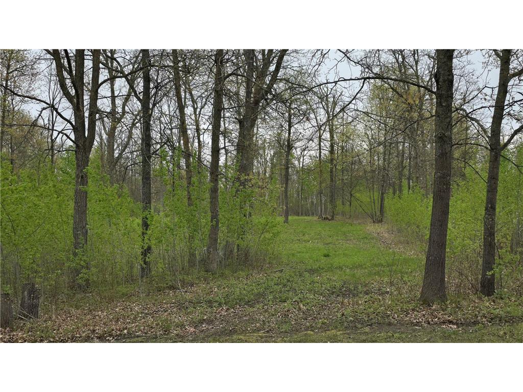 1802 Grotte Avenue NE Bemidji MN 56601 6536826 image1