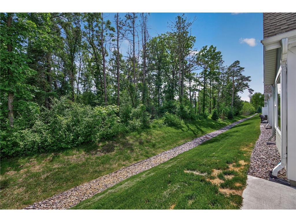 18023 38th Place N Plymouth MN 55446 7087552 image46