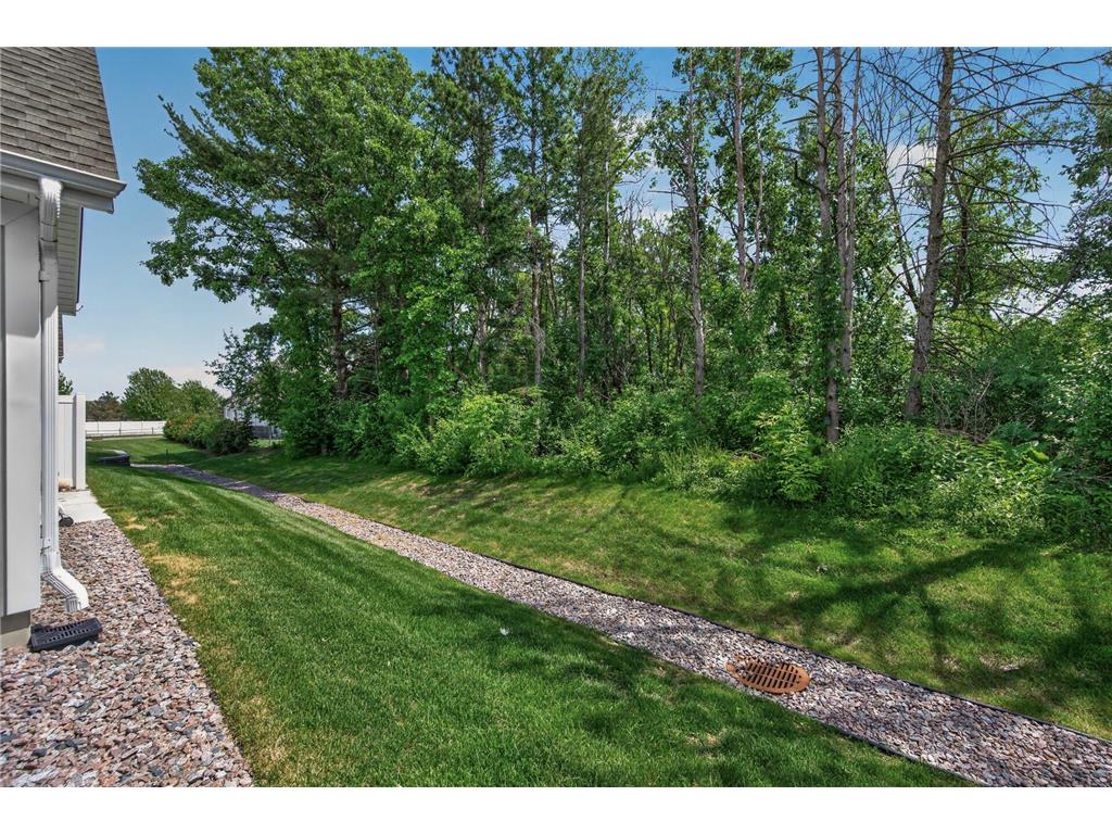 18023 38th Place N Plymouth MN 55446 7087552 image47