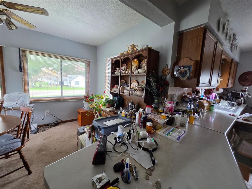 1803 SE Marshall Street Albert Lea MN 56007 7073658 image5