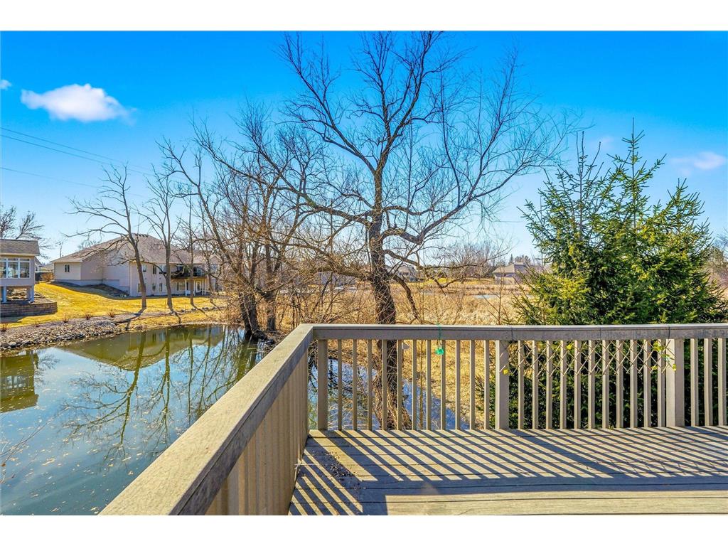 18045 39th Place N Plymouth MN 55446 7029929 image45