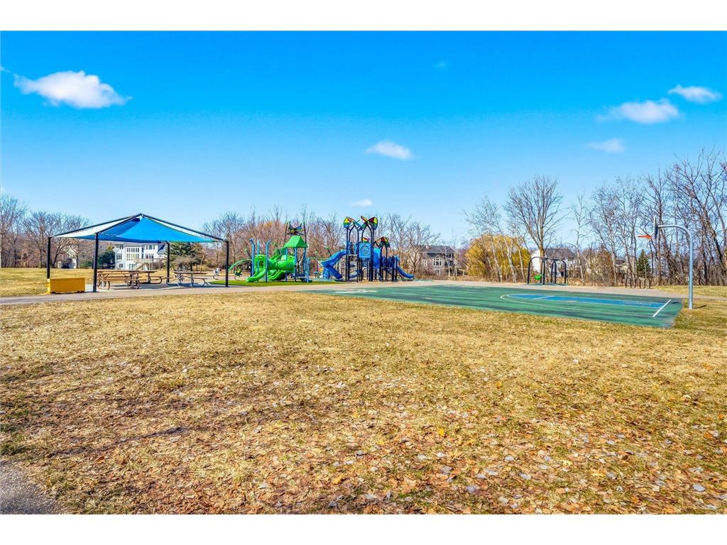 18045 39th Place N Plymouth MN 55446 7029929 image54