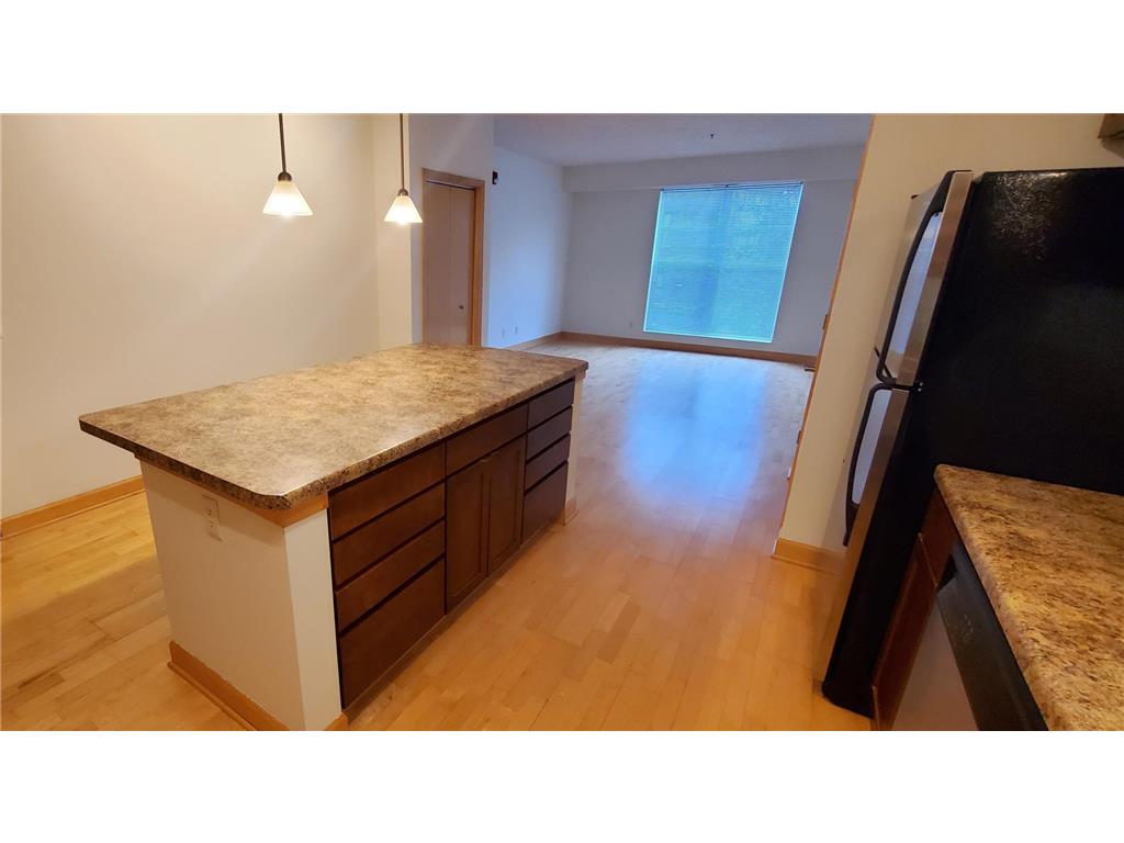 1805 3rd Avenue S #202 Minneapolis MN 55404 6825964 image13