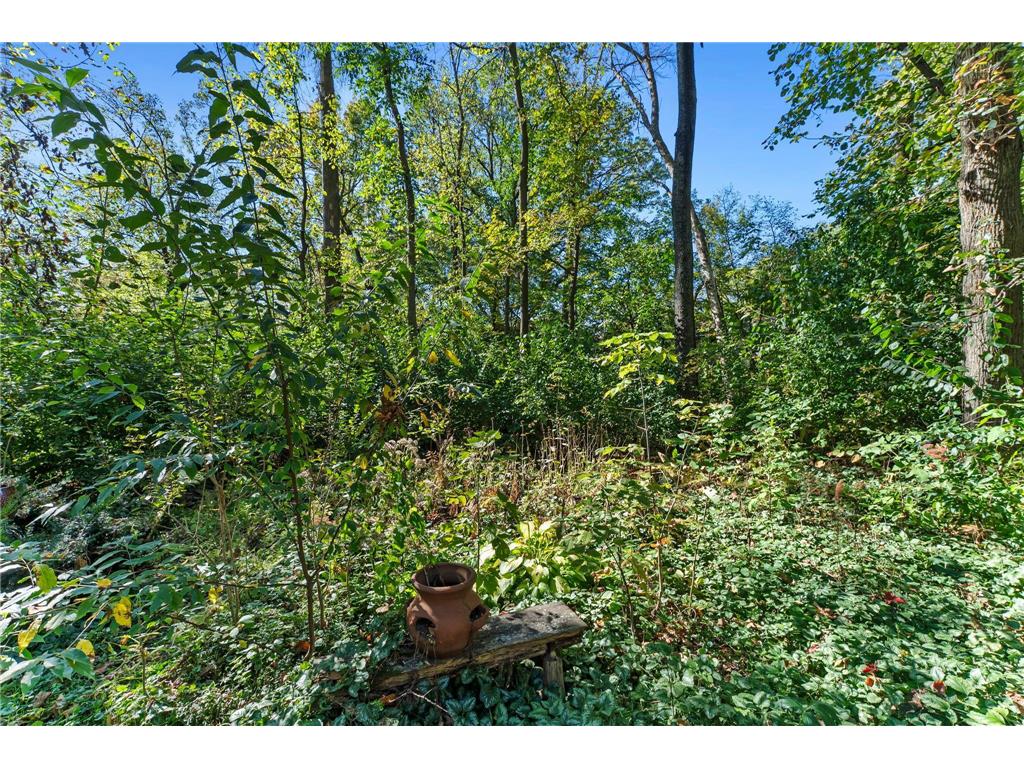 1805 Archer Lane N Plymouth MN 55447 6795170 image62