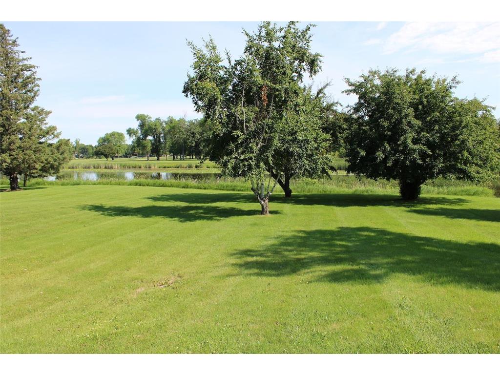 1805 Nelson Drive Thief River Falls MN 56701 - Red Lake River 7027488 image4