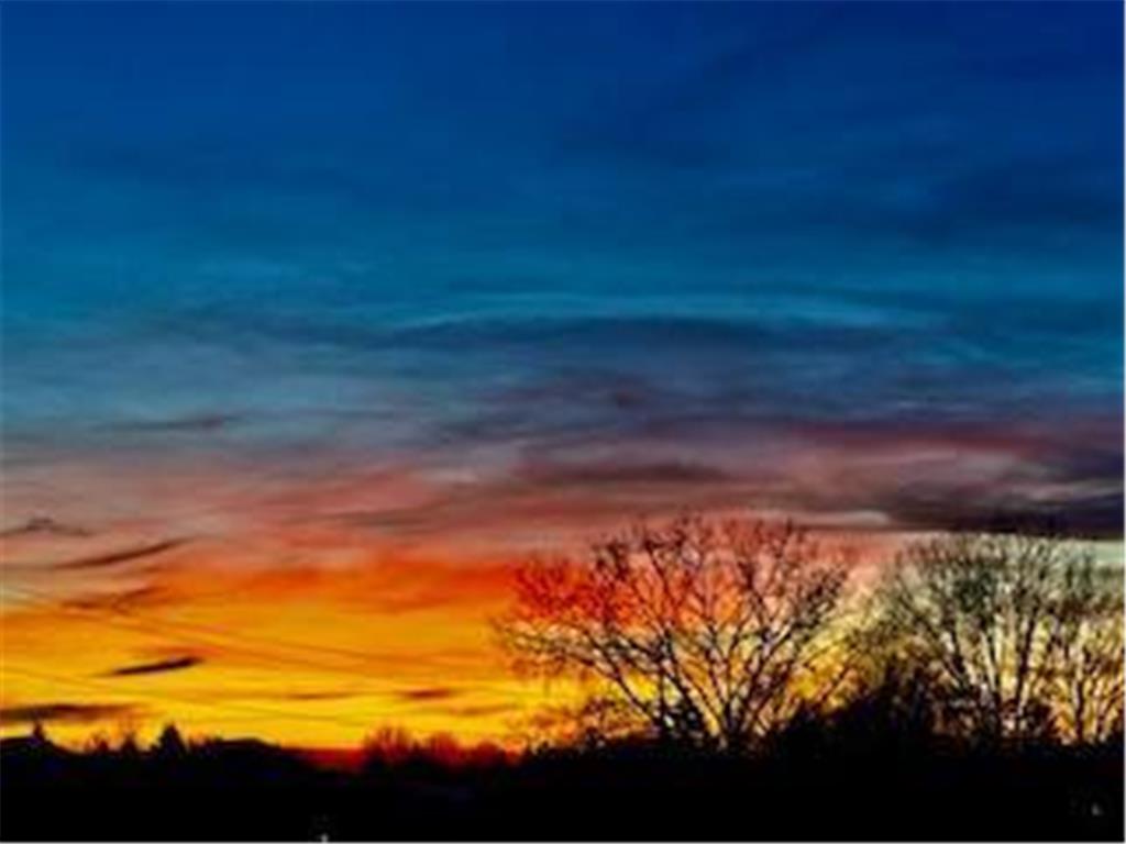 18055 39th Place N Plymouth MN 55446 7019179 image33