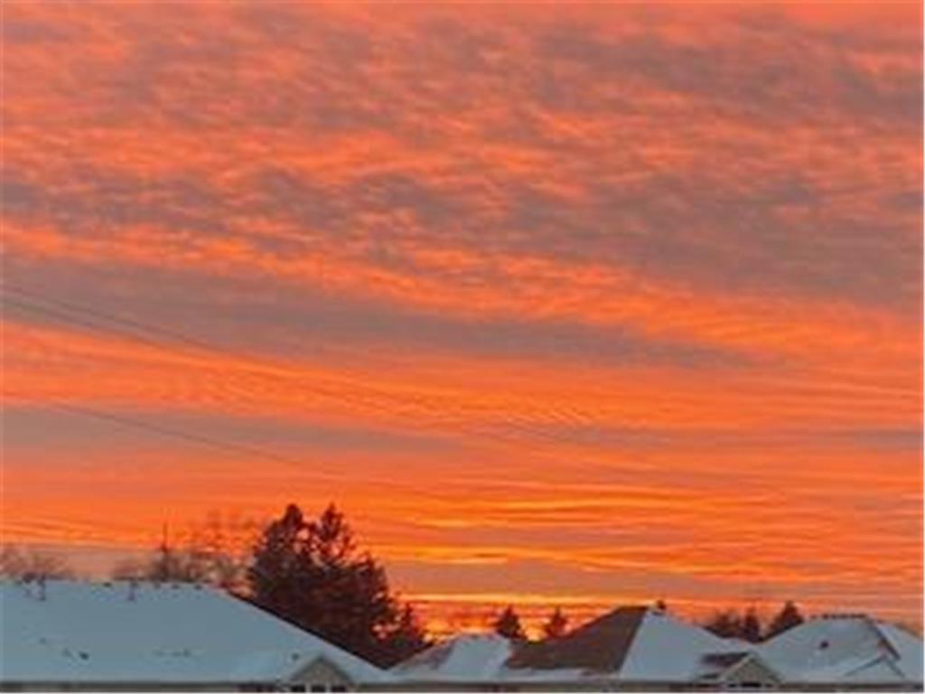 18055 39th Place N Plymouth MN 55446 7019179 image35