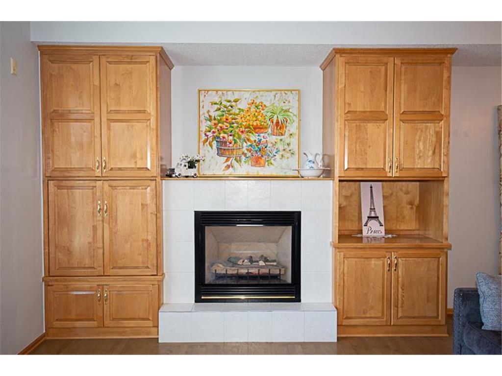 18055 39th Place N Plymouth MN 55446 7019179 image6