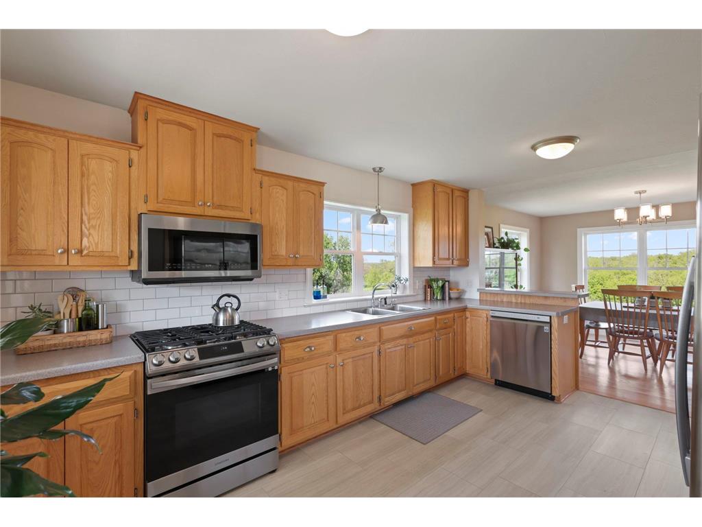 18066 Willies Way Heidelberg MN 56071 7037870 image8