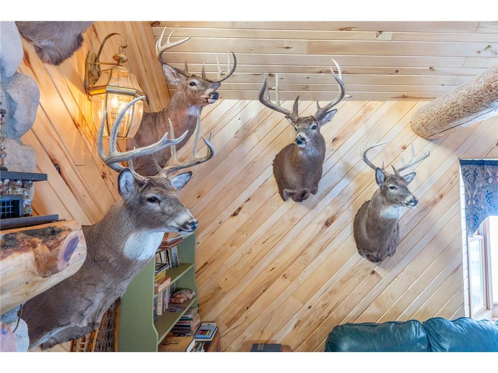 18074 Moccasin Road Parkers Prairie MN 56361 - Wing River 6636444 image1