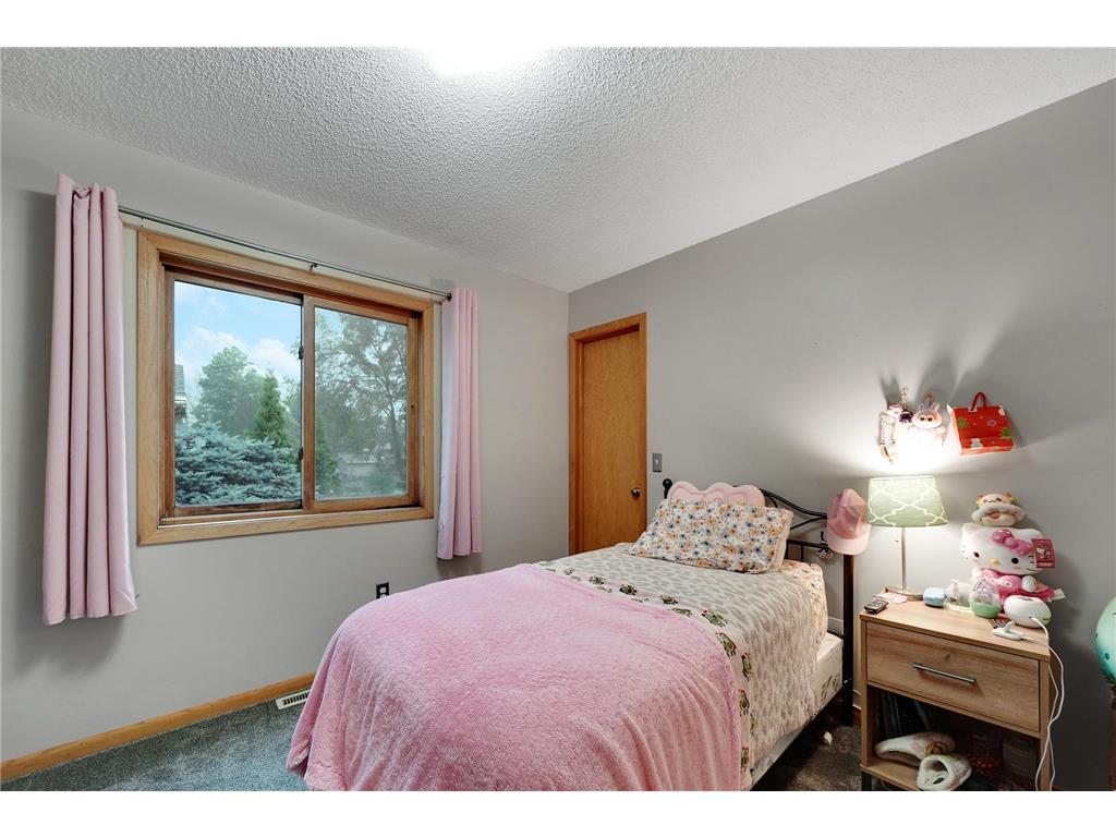 18075 Echo Terrace Farmington MN 55024 7094996 image22