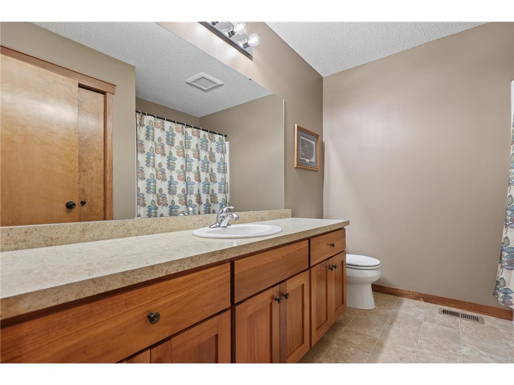 18077 118th St Becker Twp MN 55309 7077361 image16