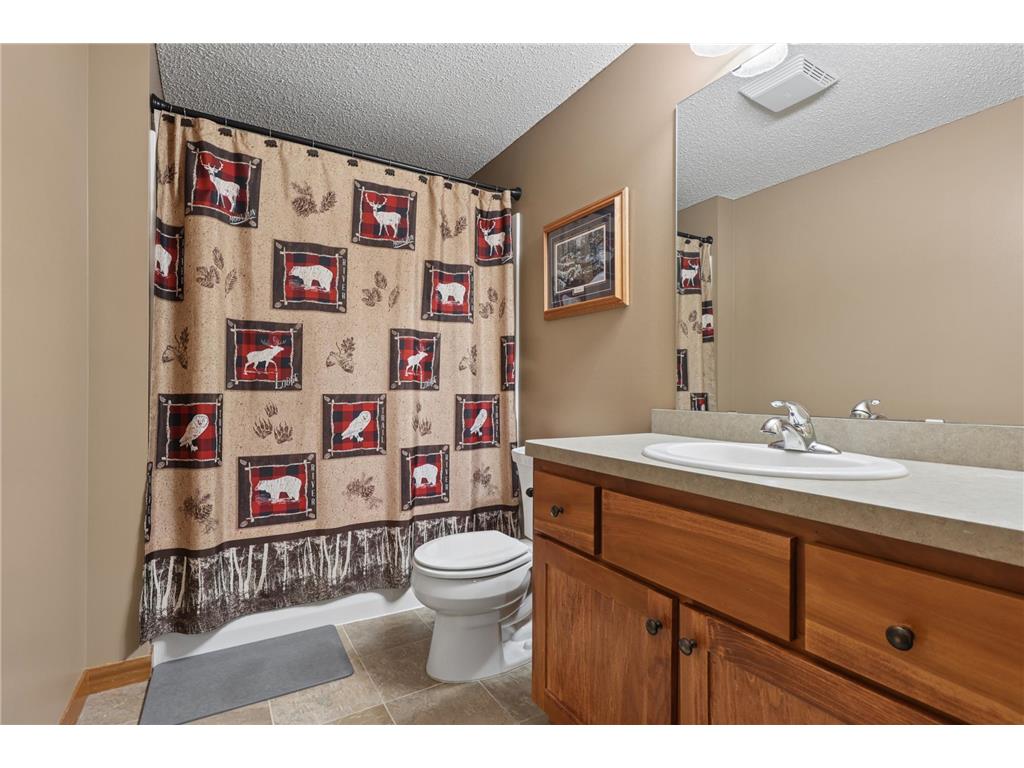 18077 118th St Becker Twp MN 55309 7077361 image23