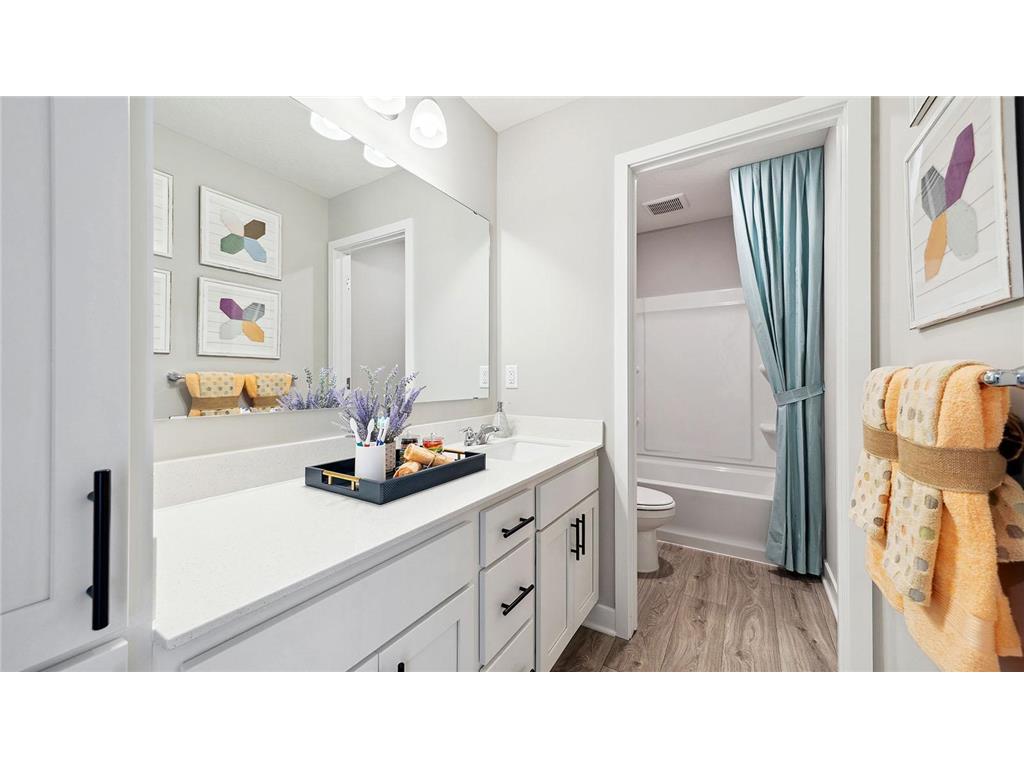 1808 Marsh View Terrace Shakopee MN 55379 6813001 image20