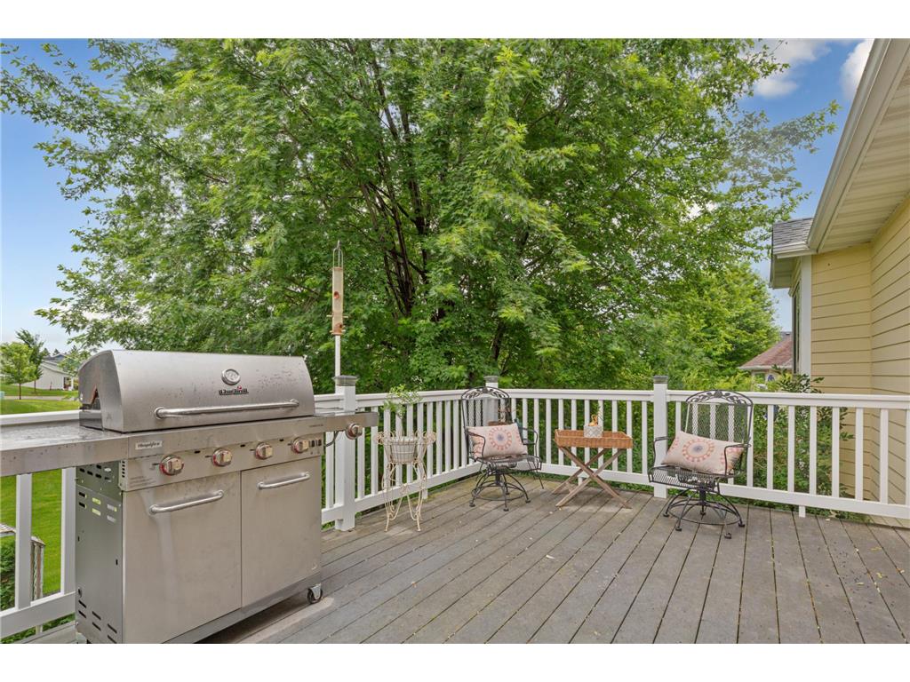 1809 Michigan Drive Northfield MN 55057 7038336 image53