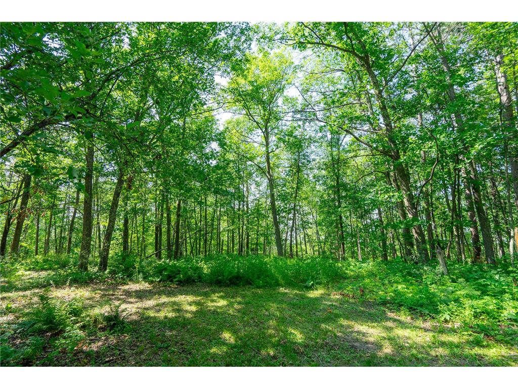 18096 526th Street Mcgregor MN 55760 7103276 image7
