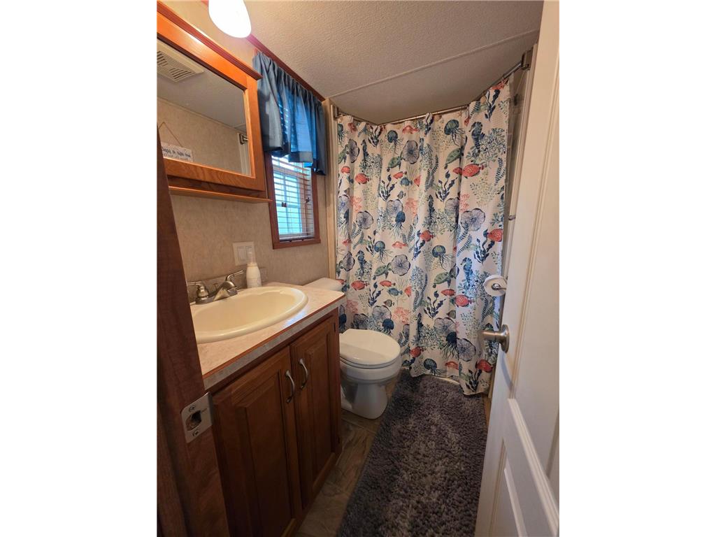 18096 Browns Lake Road #60 Eden Lake Twp MN 56368 - Long Lake 7079691 image9