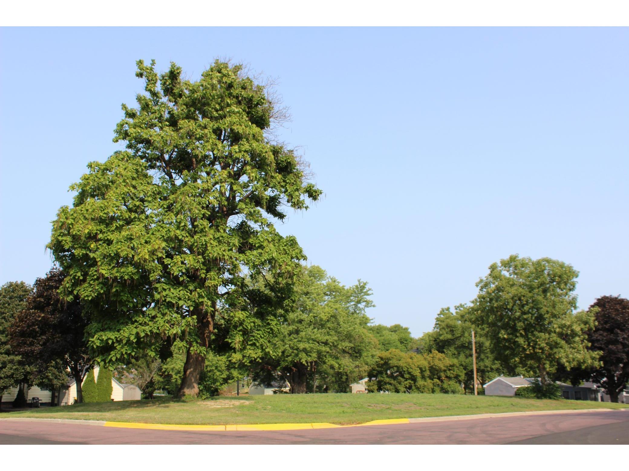 181 3rd Avenue SE Trimont MN 56176 6085701 image1