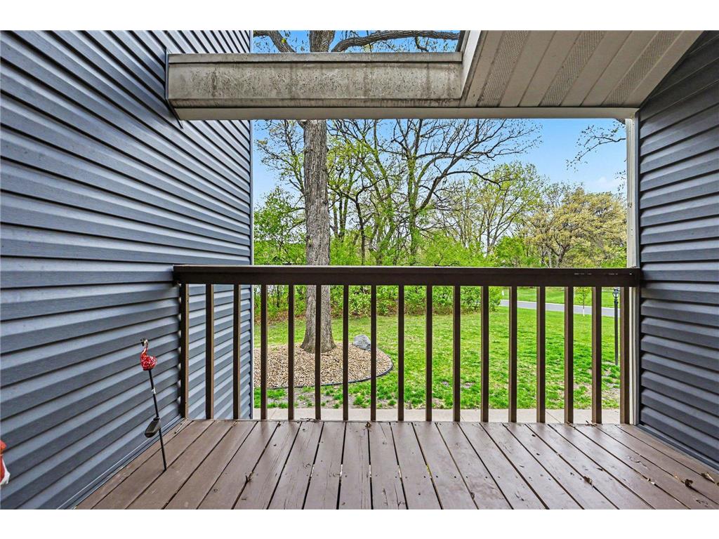 1810 113th Lane NW Coon Rapids MN 55433 7065557 image21