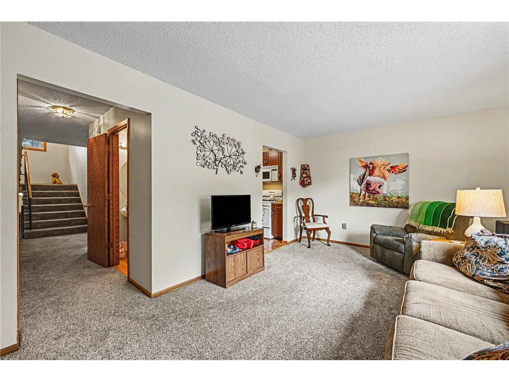 1810 113th Lane NW Coon Rapids MN 55433 7065557 image4