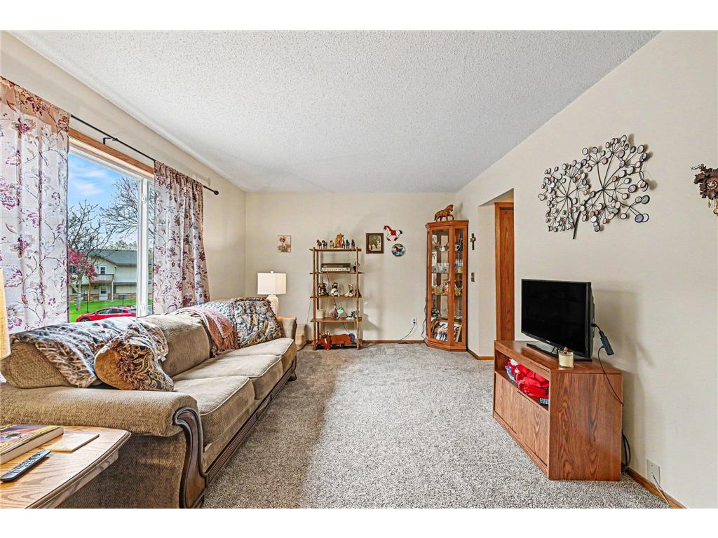 1810 113th Lane NW Coon Rapids MN 55433 7065557 image6