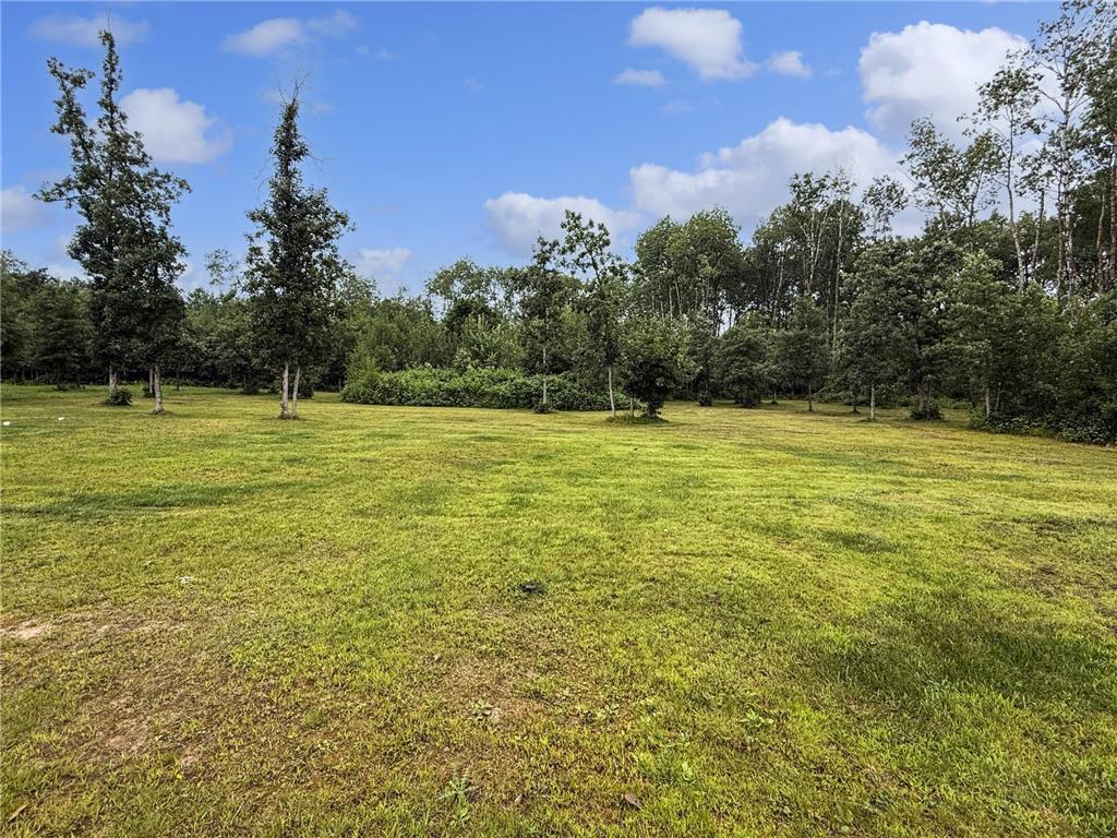 18101 279th Avenue Nevis MN 56467 6767965 image17