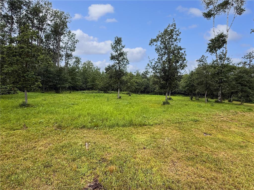 18101 279th Avenue Nevis MN 56467 6767965 image18