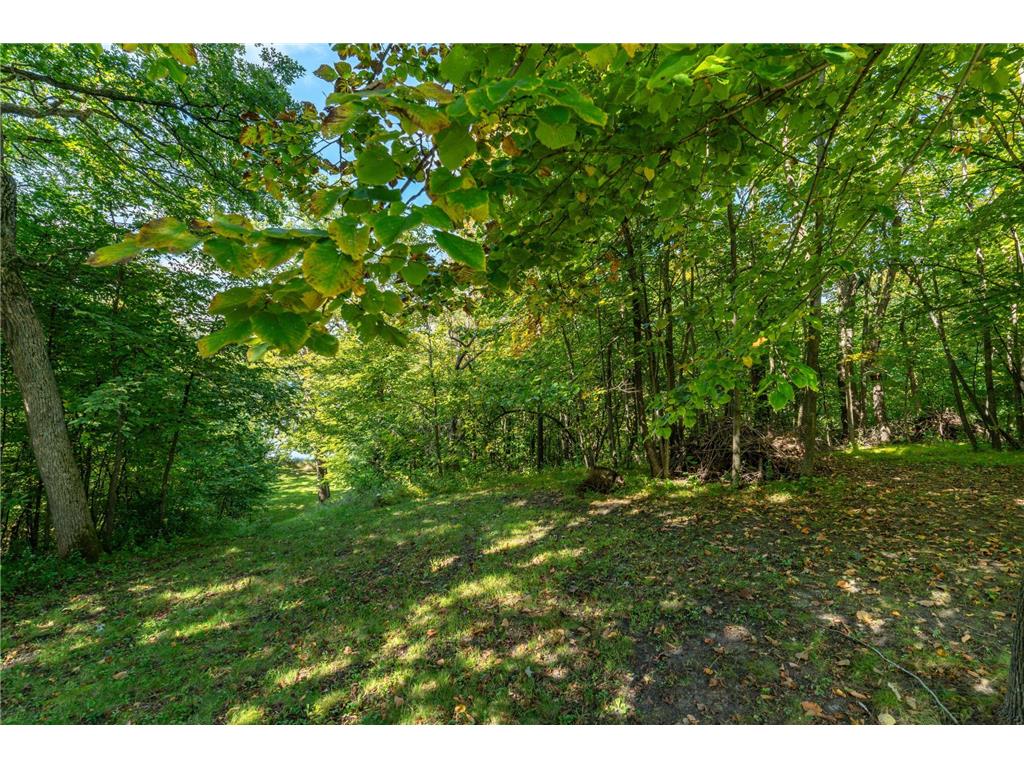 18101 Minni Acres Road Clitherall Twp MN 56524 - Clitherall 7065354 image4