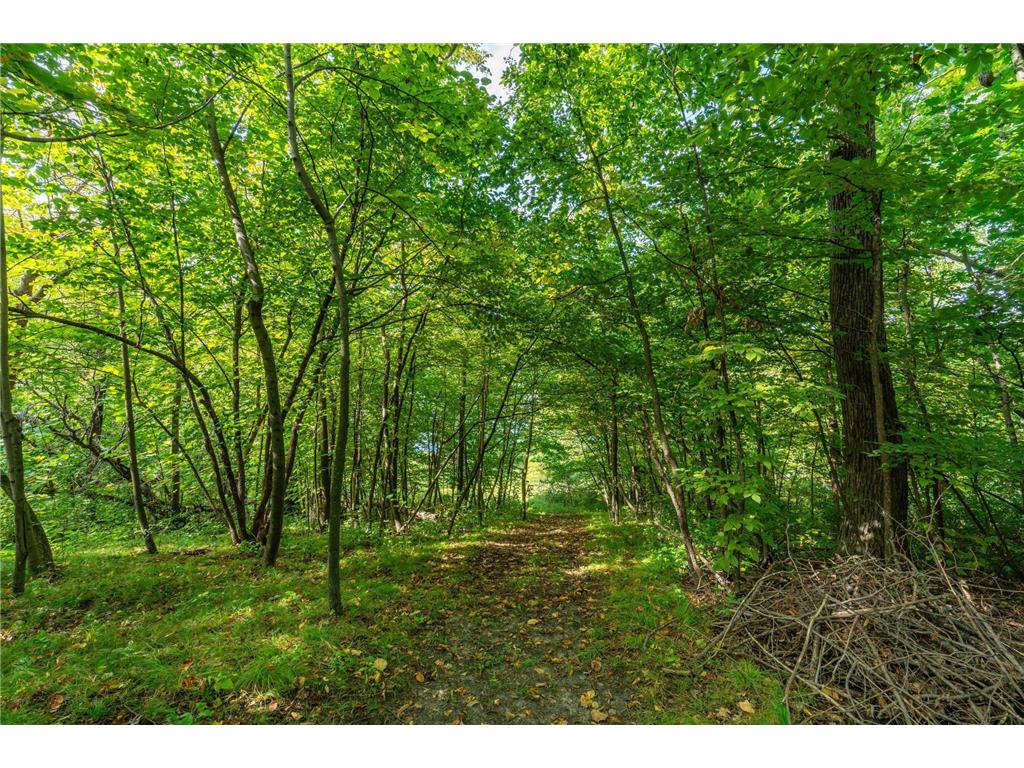 18101 Minni Acres Road Clitherall Twp MN 56524 - Clitherall 7065354 image5