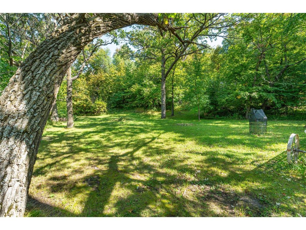 18101 Minni Acres Road Clitherall Twp MN 56524 - Clitherall 7065354 image8