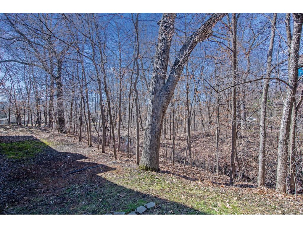 1811 Yuma Lane N Plymouth MN 55447 7038659 image32
