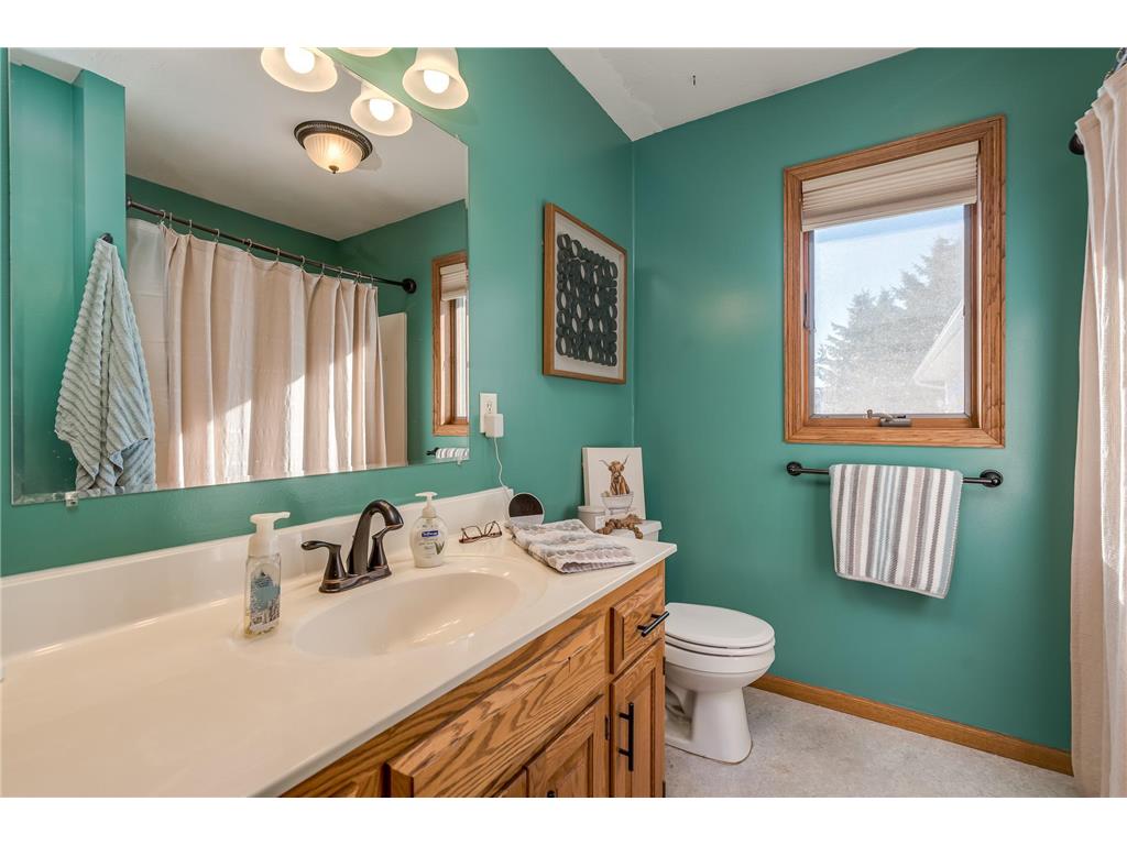 18110 Willies Way Heidelberg MN 56071 7015231 image13