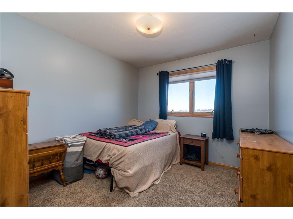 18110 Willies Way Heidelberg MN 56071 7015231 image14