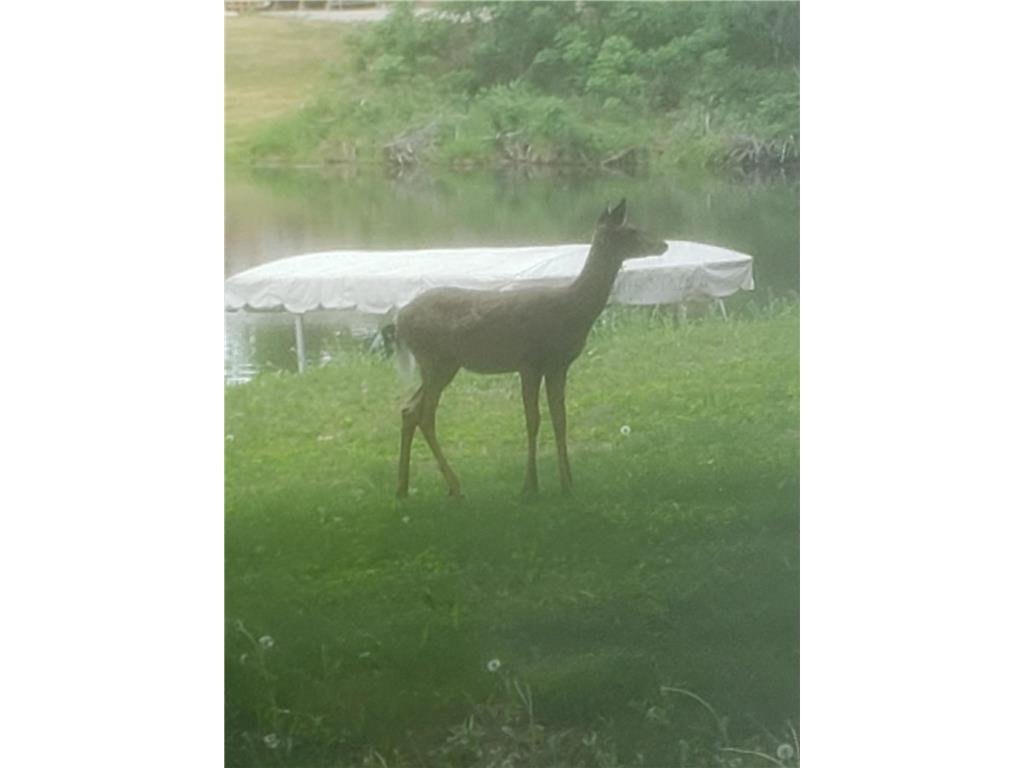 18112 Treasure Cove Garrison MN 56450 - Mille Lacs Lake 6776670 image3