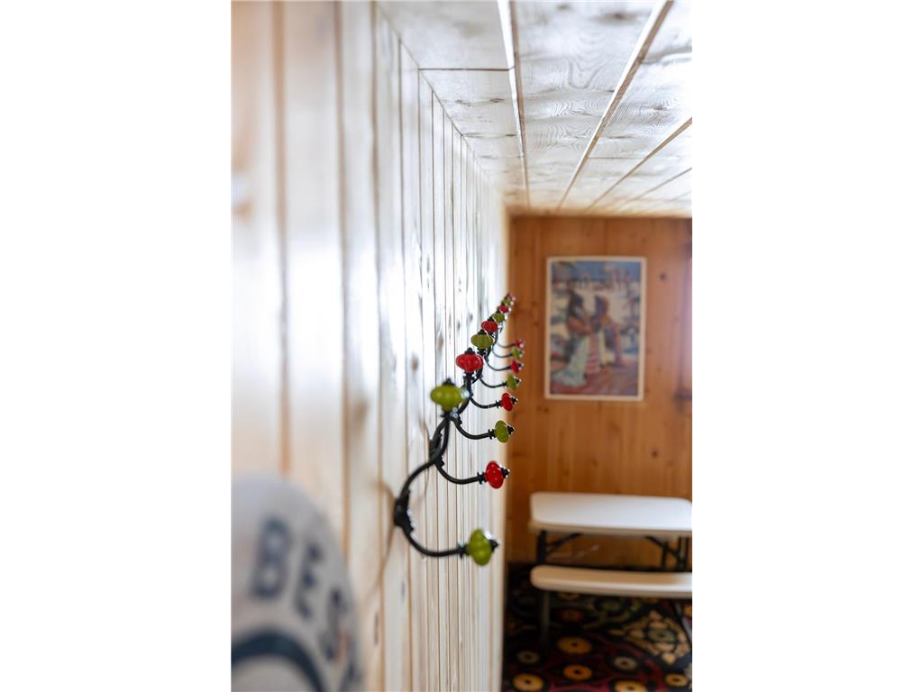 1812 E Shore Drive Detroit Lakes MN 56501 - Detroit 7057870 image113