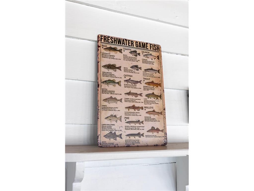 1812 E Shore Drive Detroit Lakes MN 56501 - Detroit 7057870 image54