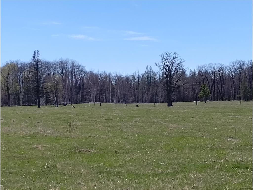 18134 170th Street Pliny Twp MN 56350 7066715 image101