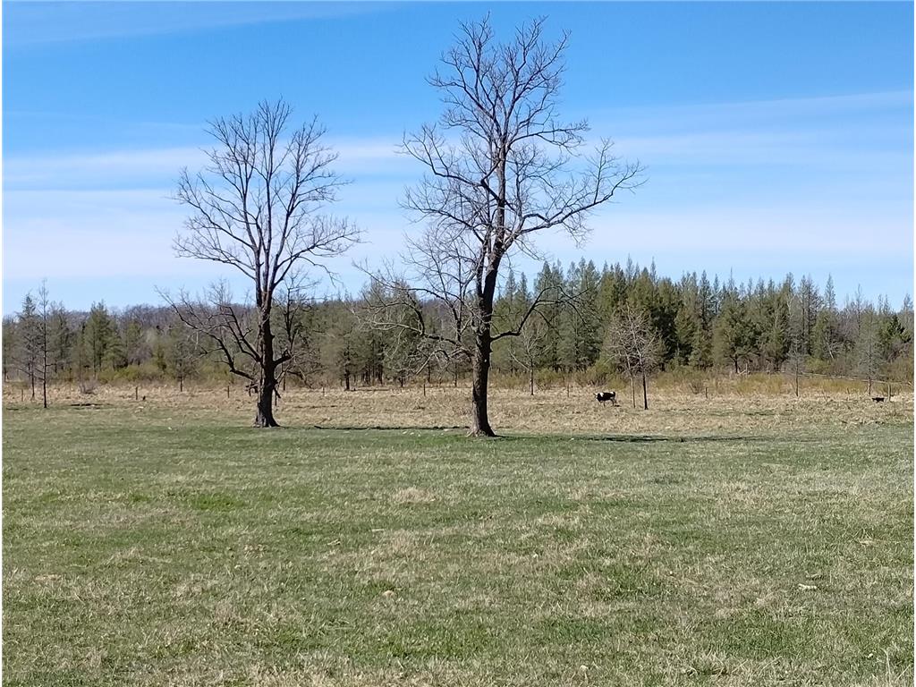 18134 170th Street Pliny Twp MN 56350 7066715 image108