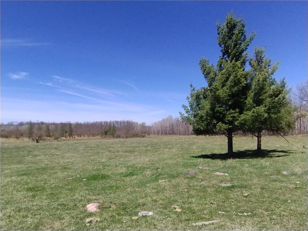 18134 170th Street Pliny Twp MN 56350 7066715 image110