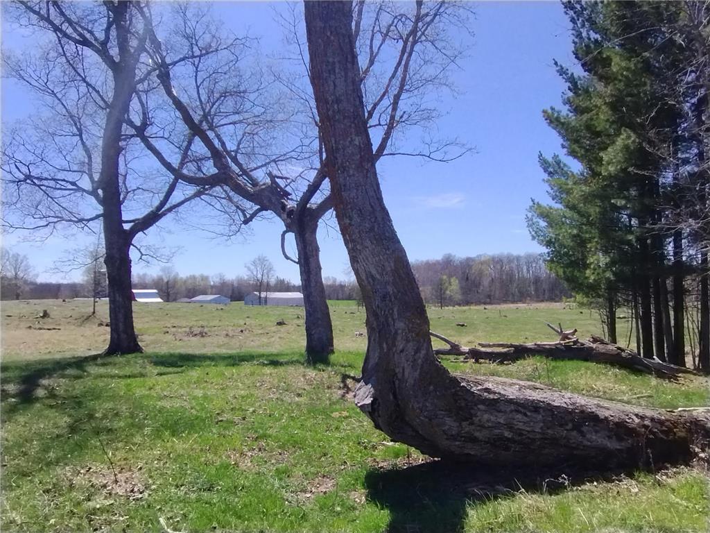 18134 170th Street Pliny Twp MN 56350 7066715 image112