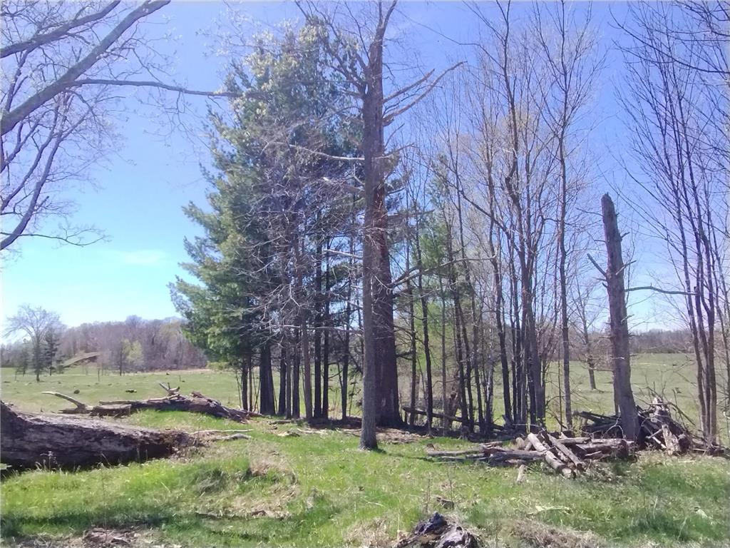 18134 170th Street Pliny Twp MN 56350 7066715 image116