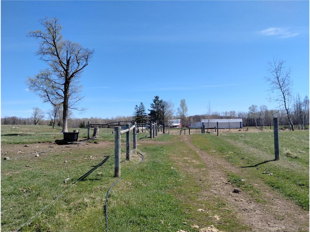 18134 170th Street Pliny Twp MN 56350 7066715 image16