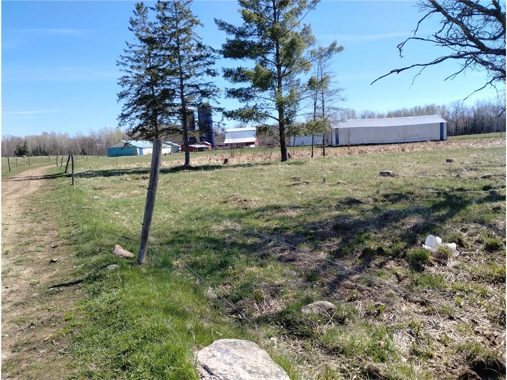 18134 170th Street Pliny Twp MN 56350 7066715 image36