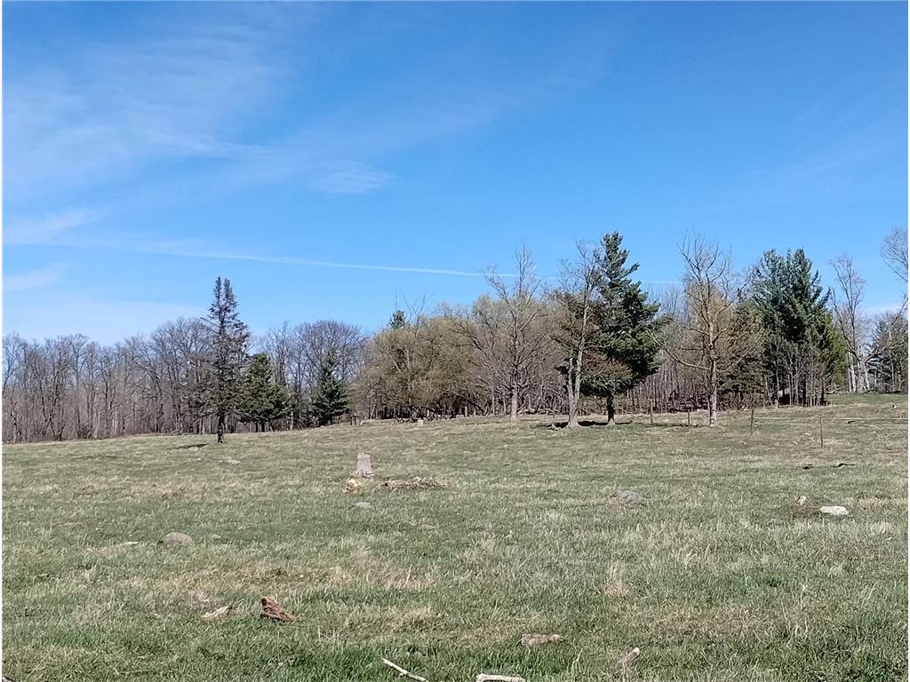 18134 170th Street Pliny Twp MN 56350 7066715 image40