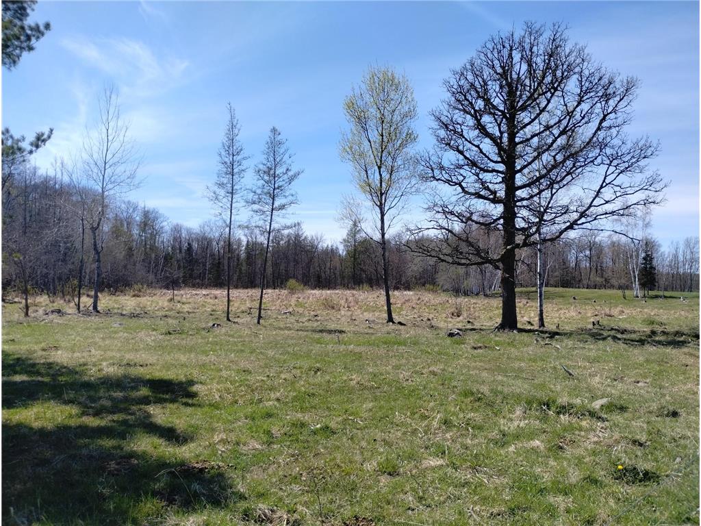 18134 170th Street Pliny Twp MN 56350 7066715 image42